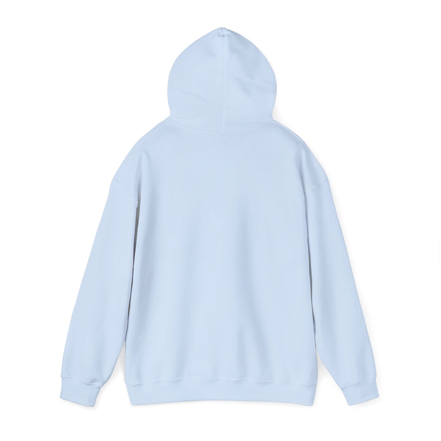 Zioness Hoodie | Zionist Hoodie | Israel Hoodie | Jewish Gift | Jewish Mom Gift | Jewish Dad Gift | Gift For Jewish Woman | Israeli Shirt