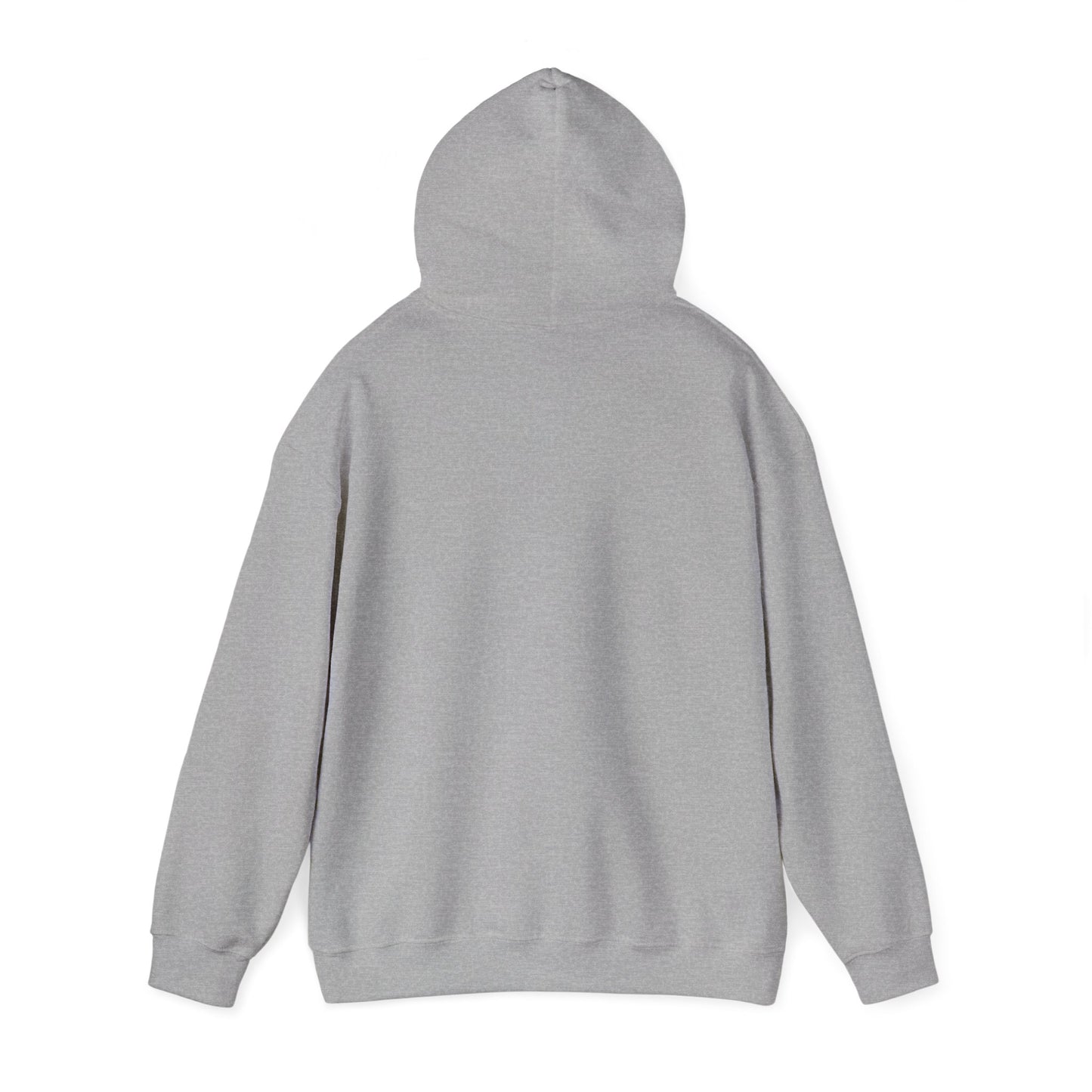 Zioness Hoodie | Zionist Hoodie | Israel Hoodie | Jewish Gift | Jewish Mom Gift | Jewish Dad Gift | Gift For Jewish Woman | Israeli Shirt