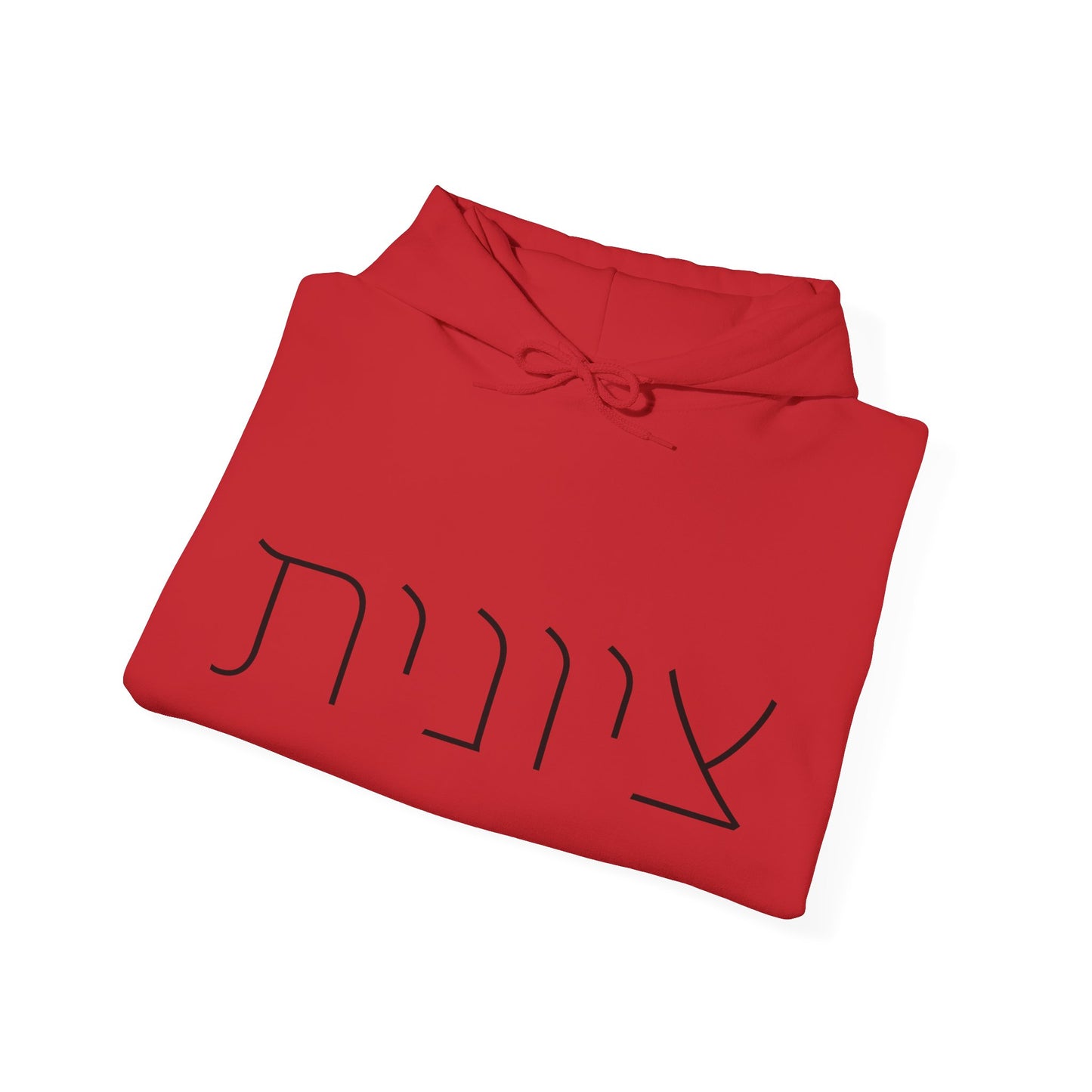 Zionist 10F Hebrew Hoodie | Zionist Shirt | Hebrew Hoodie| Israel Tshirt | Jewish | Gift For Jewish Mom | Gift For Jewish Woman | Israeli
