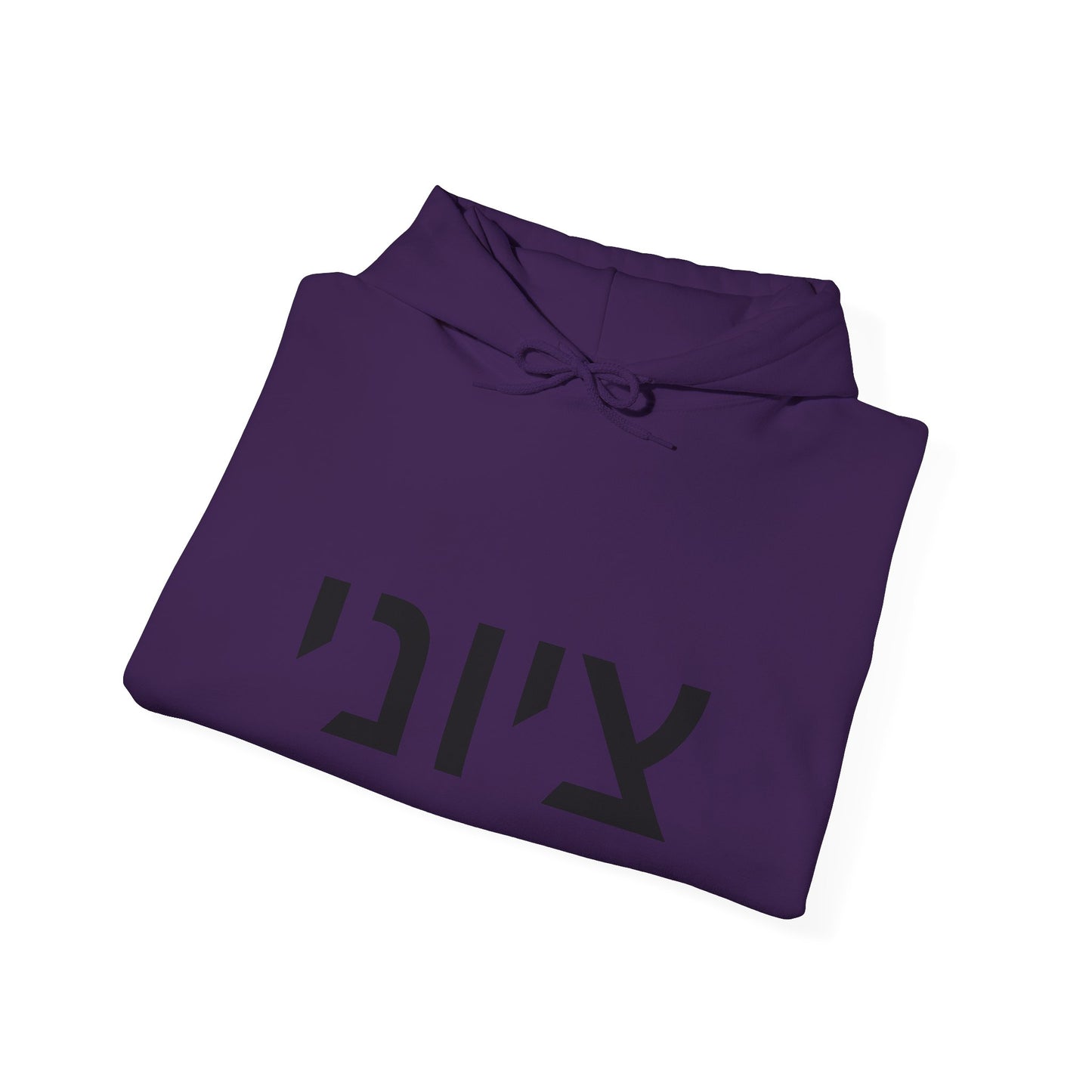 Zionist Hebrew Hoodie 8m (for him)