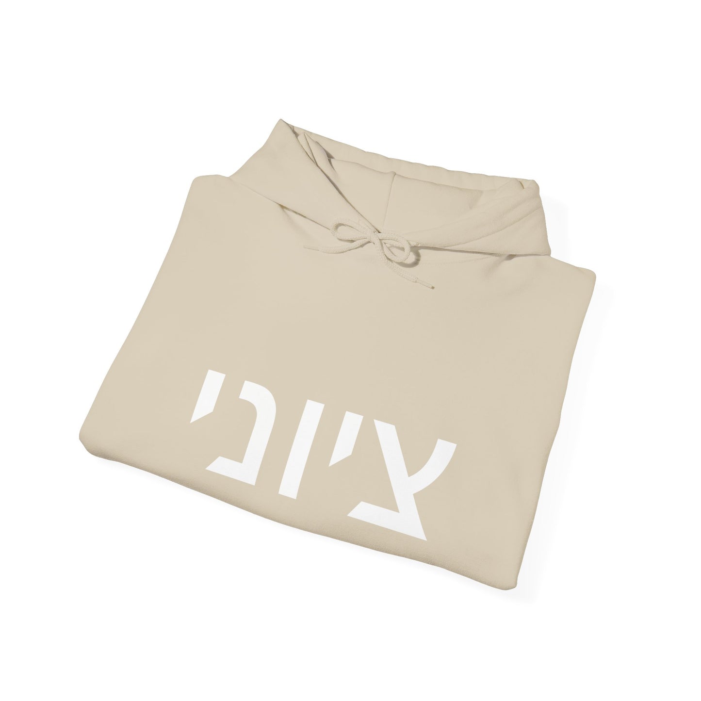 Zionist Hebrew Hoodie 8m (for him)