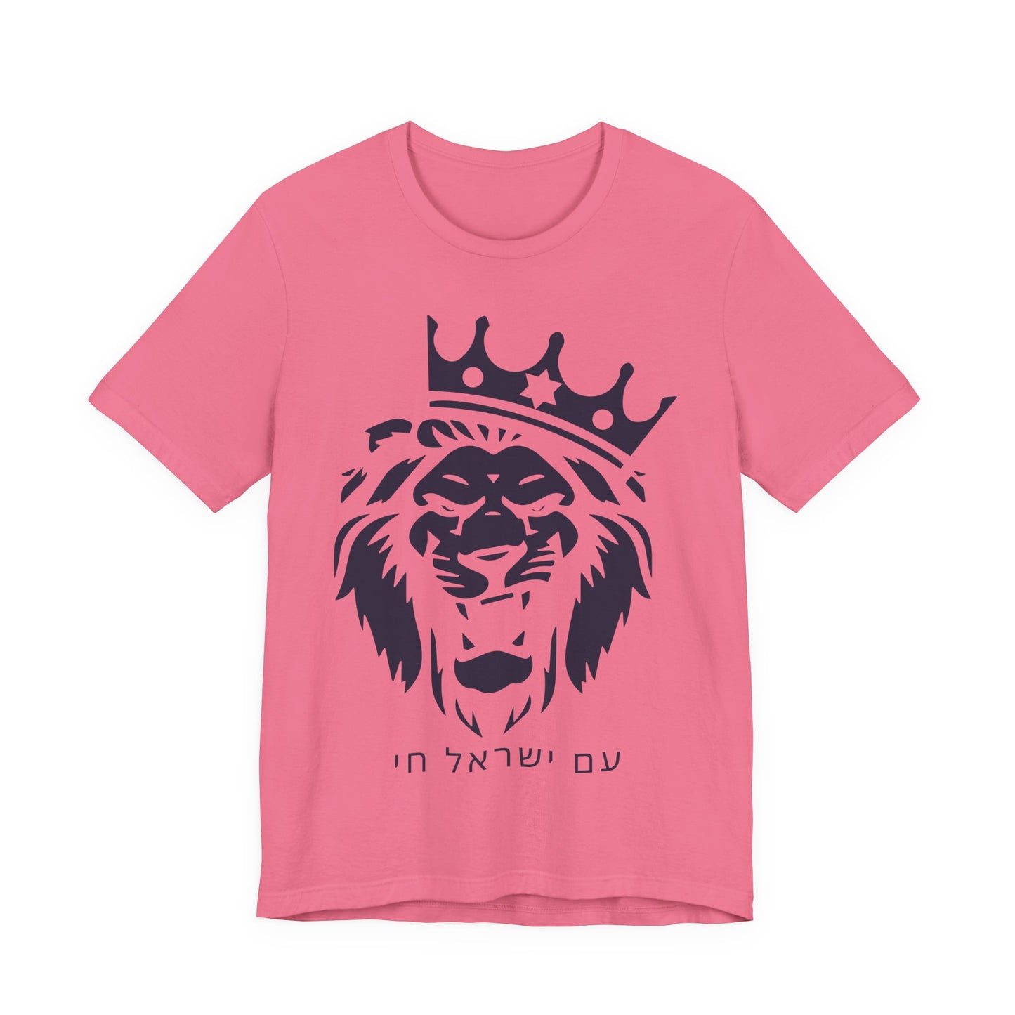 Am Yisrael Chai Hebrew T-Shirt W/ Lion