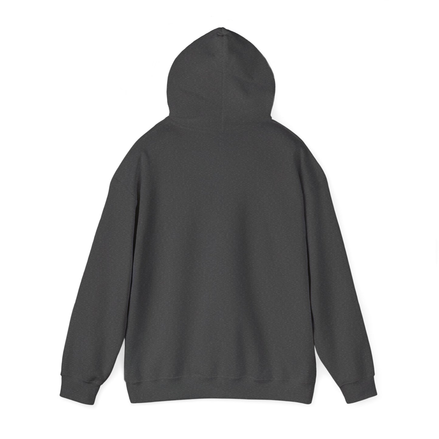 Zioness Hoodie | Zionist Hoodie | Israel Hoodie | Jewish Gift | Jewish Mom Gift | Jewish Dad Gift | Gift For Jewish Woman | Israeli Shirt