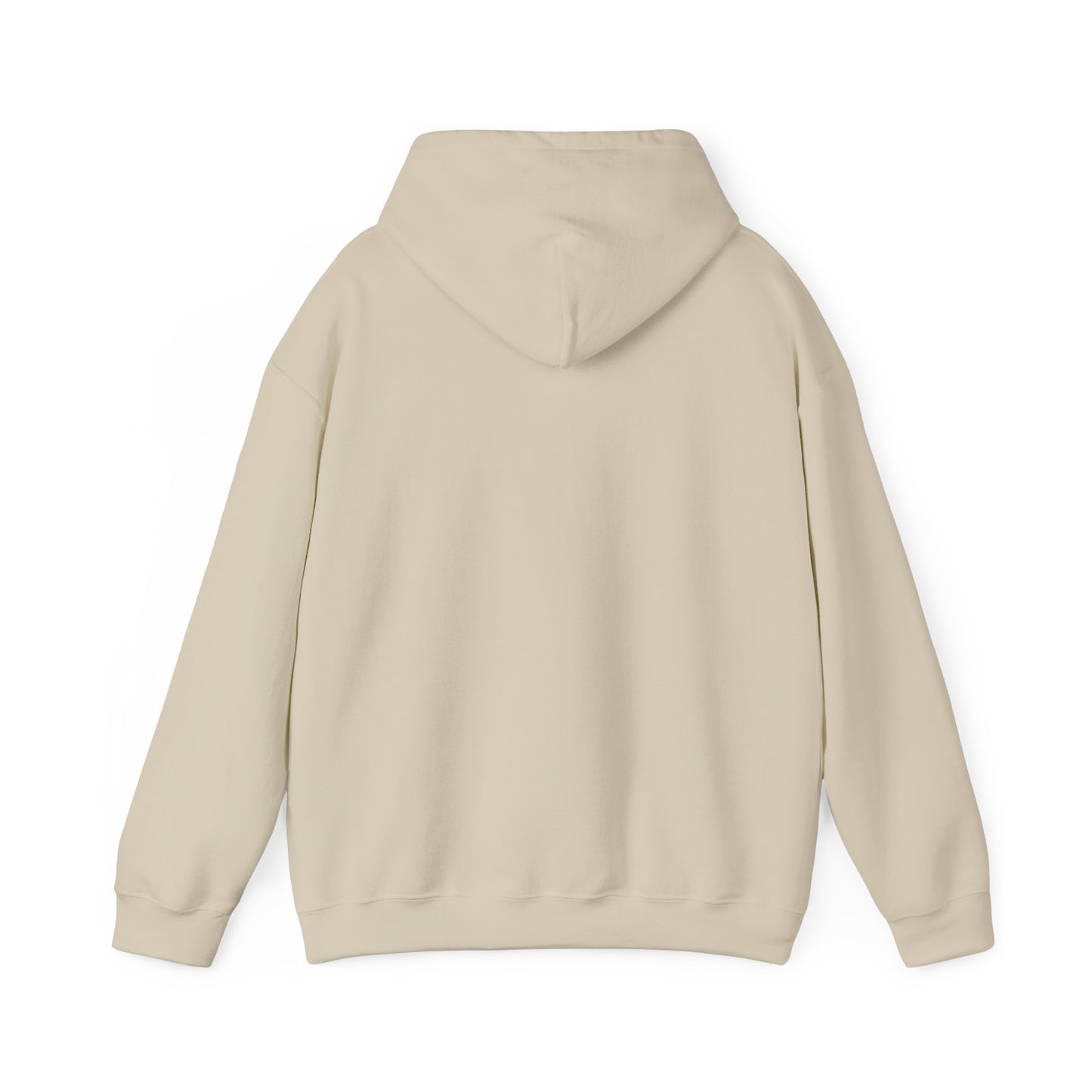 Zionist Hebrew 9M Hoodie (for him)
