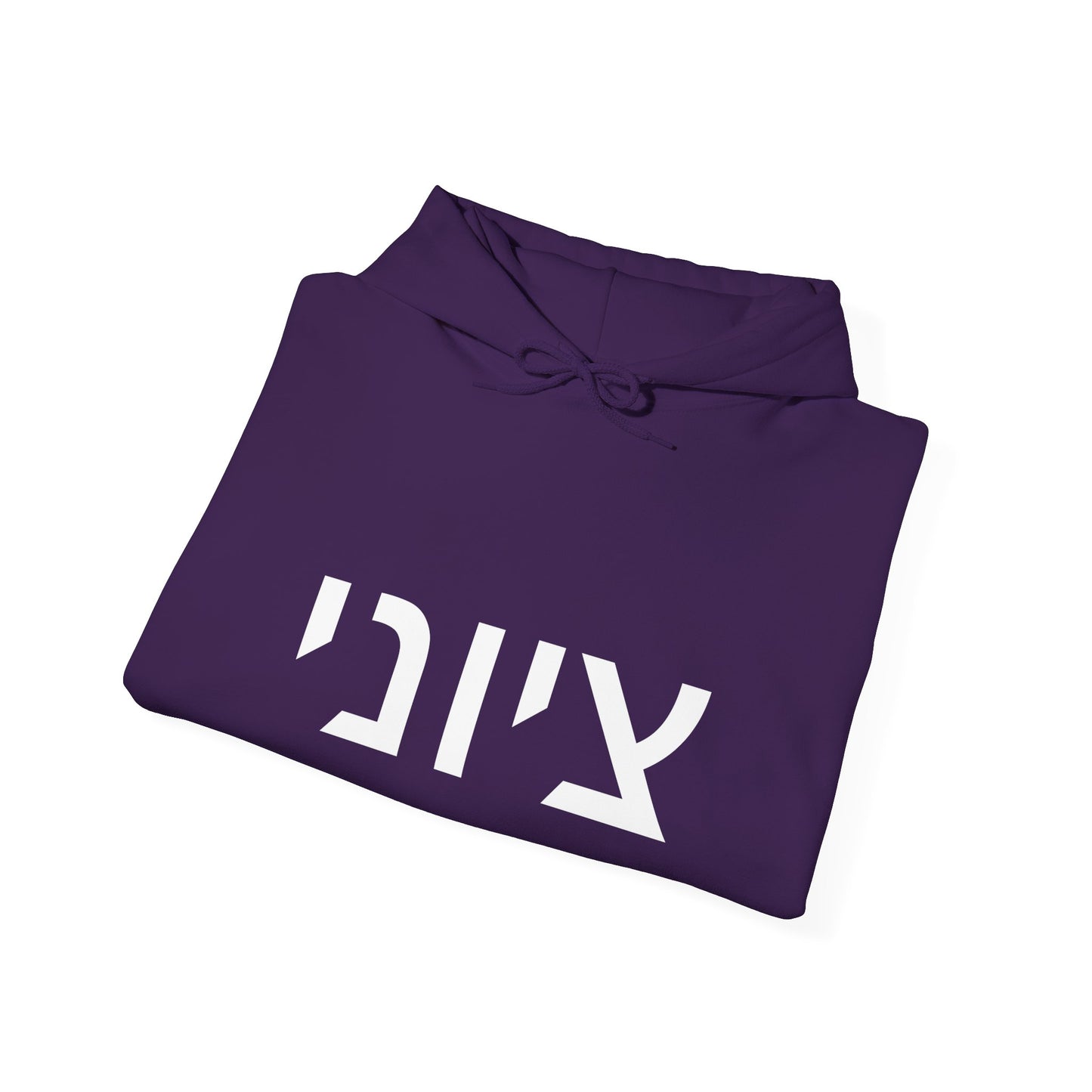 Zionist Hebrew Hoodie 8m (for him)