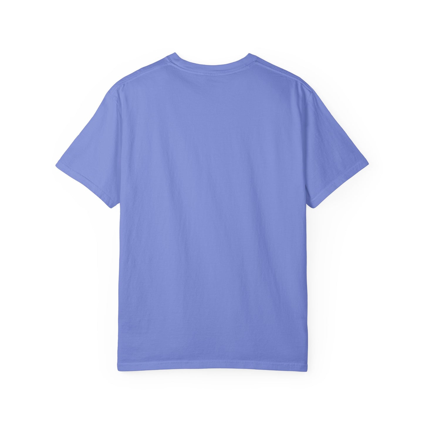 Funny Shabbat Jewish Shirt | Jewish Humour Comfort Colors | Hebrew Humour Gift | Jewish Holiday Gift | Jewish Gift For Her | Jewish Gift Him