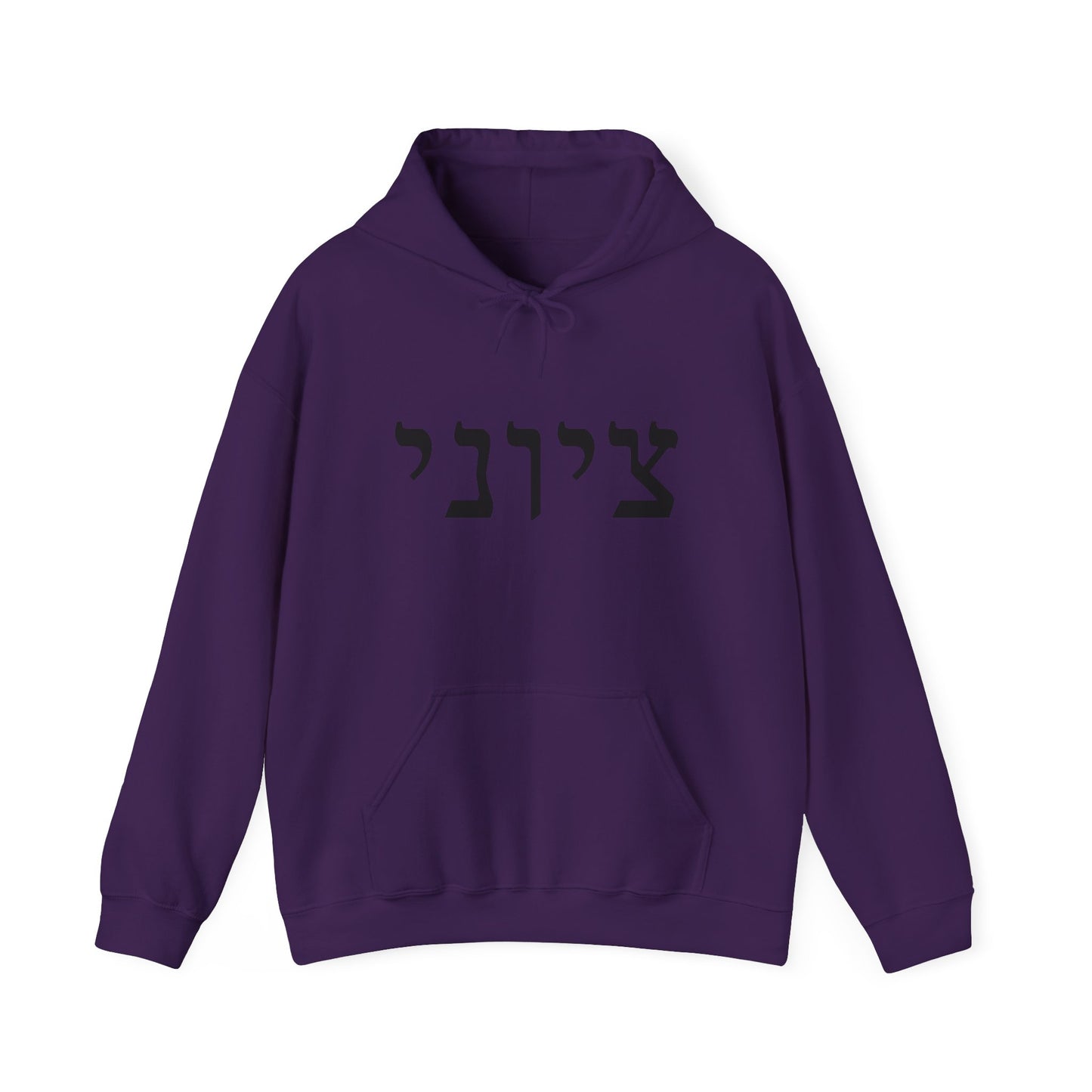 Zionist Hebrew 9M Hoodie (for him)