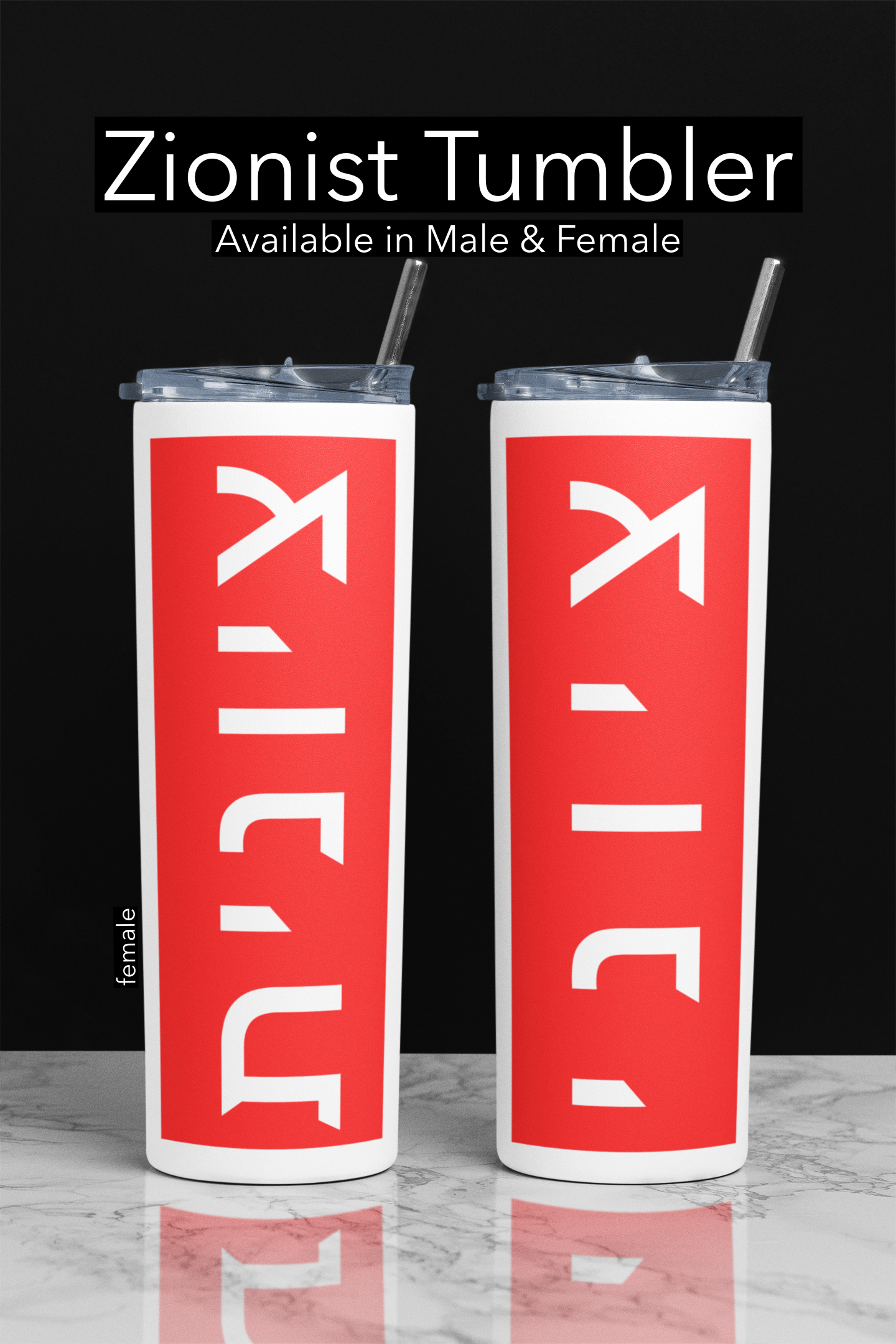 Zionist Hebrew Tumbler, 20oz | Jewish Travel Mug | Jewish Coffee Lovers | Gift for Jewish Birthdays | Jewish Holidays | Jewish Office Mug male and female zionist together