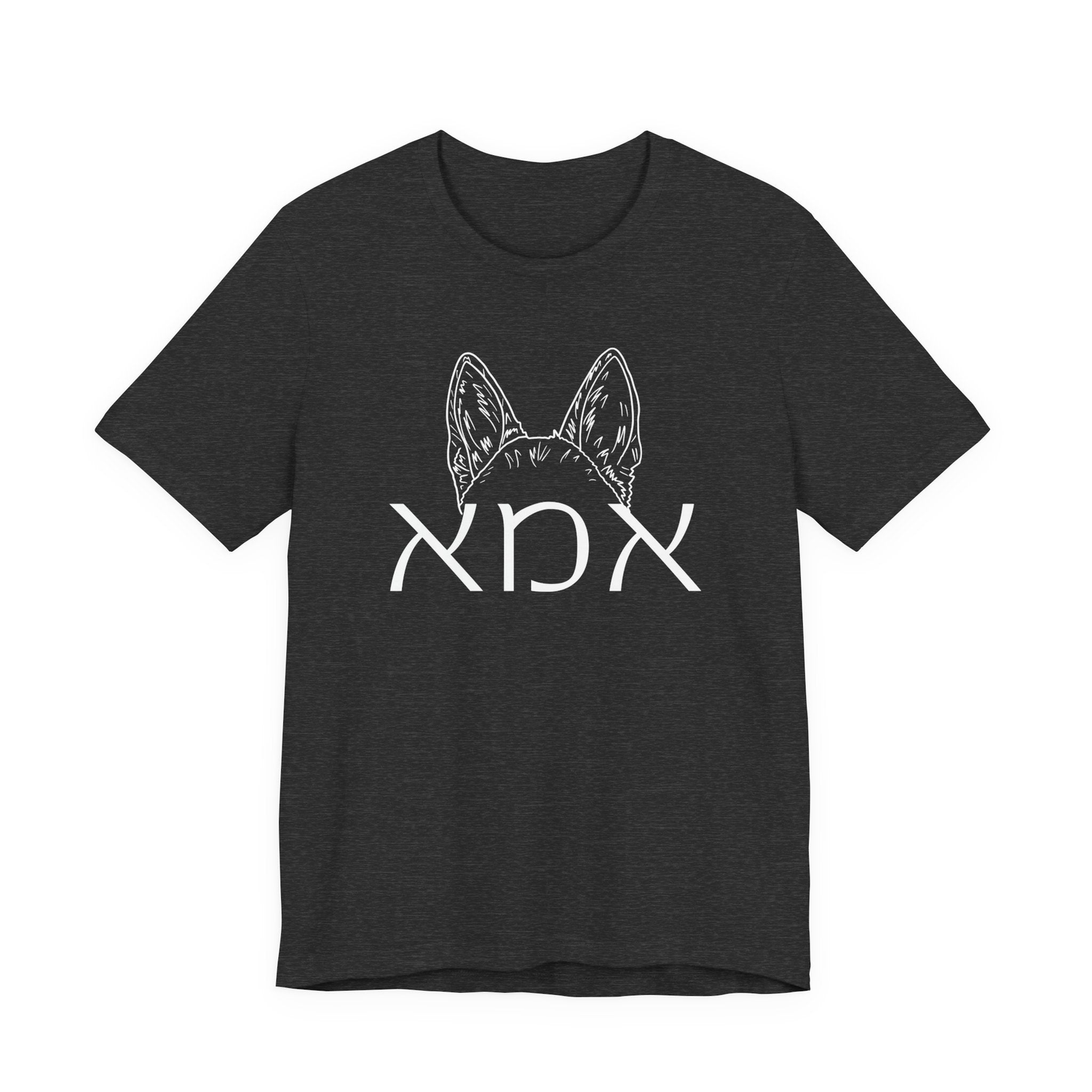 כלב/dog