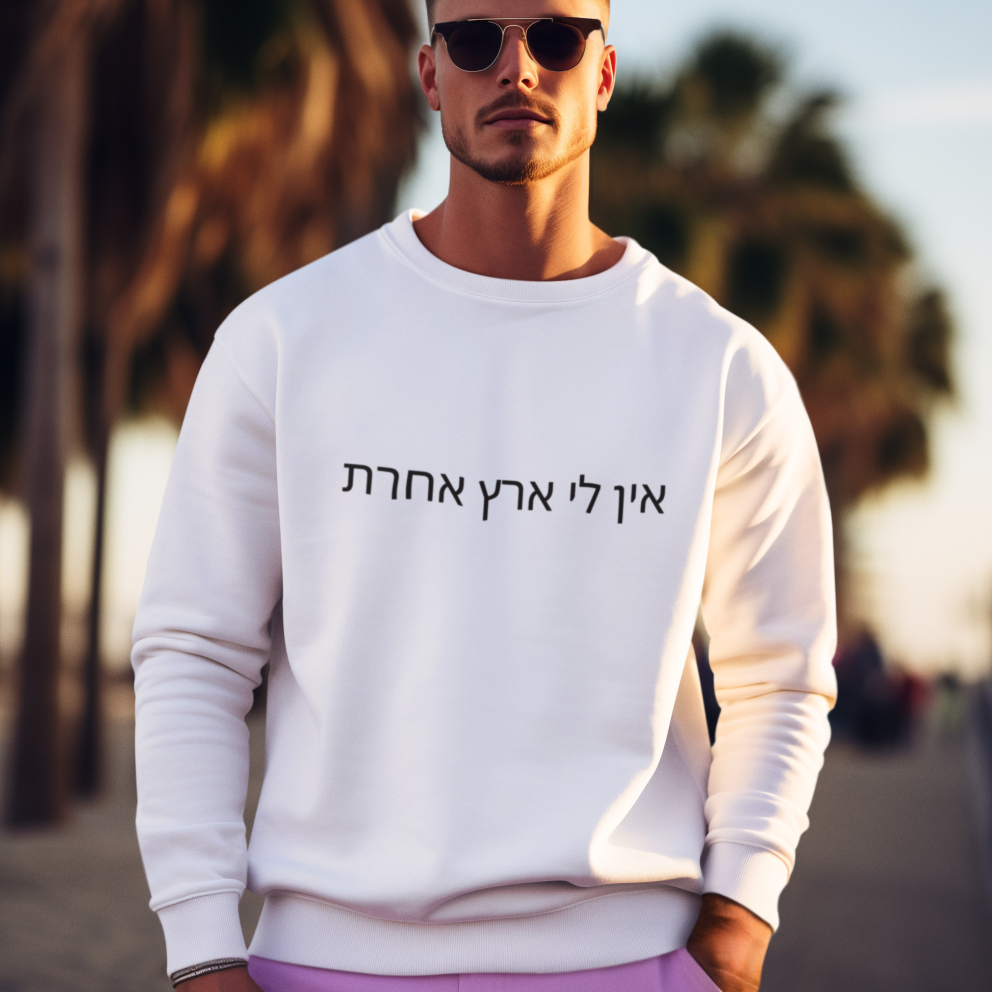 I have no other land in hebrew